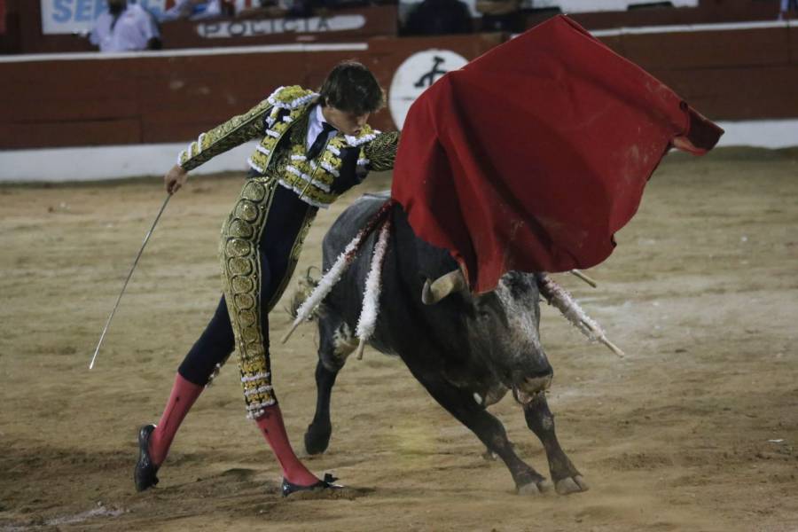 SCJN anula decreto que considera toreo como patrimonio cultural