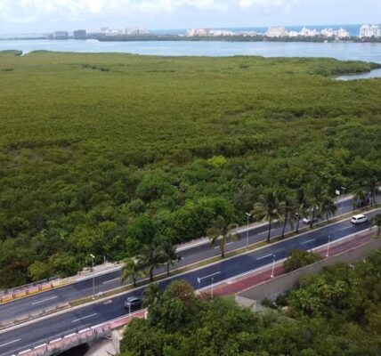 “Se caen” dos hoteles de Cancún antes de su construcción