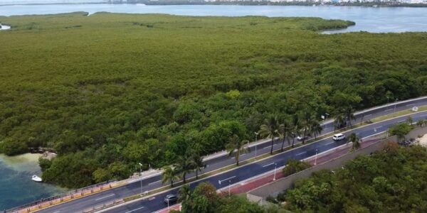 “Se caen” dos hoteles de Cancún antes de su construcción