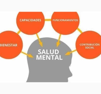 Salud mental: la 4T impone un modelo calificado como inoperante