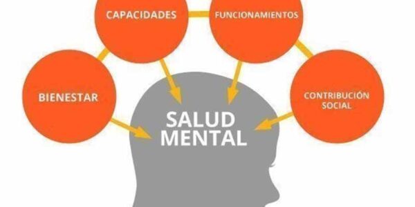 Salud mental: la 4T impone un modelo calificado como inoperante