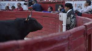 SCJN sentencia que prohibiría a las corridas de toros