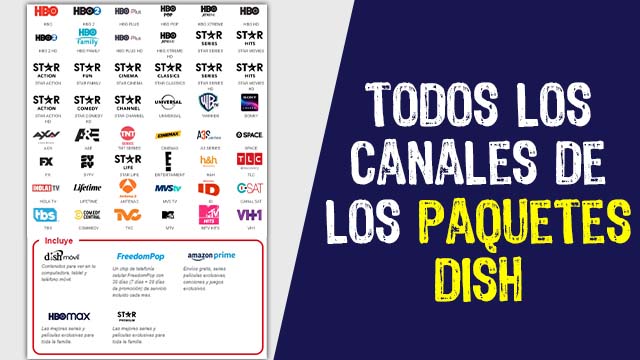 Lanza Dish nuevo paquete Básico Más Deportes