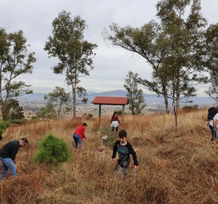 Por Festival de la Resistencia que organiza la FEU, plantan 180 árboles en el Cerro de la Reina en Tonalá