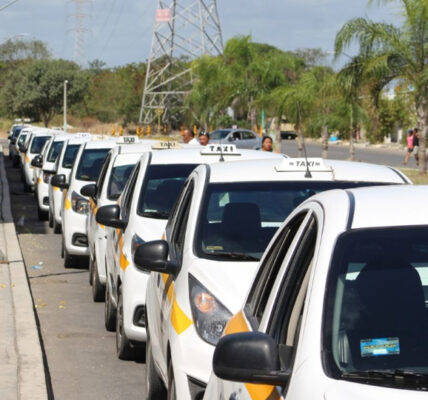 Se entregaron más de 285 concesiones a operadores de transporte público