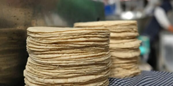 Consumo de tortillas “pirata” pone en riesgo la salud de la población