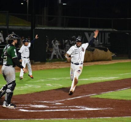 Tigres de Quintana Roo avanzan a la Serie de Zona en la LMB