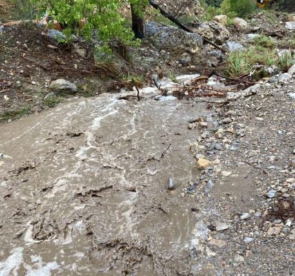 Proponen tecnología para aprovechar aguas residuales