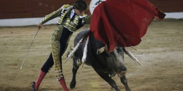 Dan ultimátum para suspensión de corridas de toros en Zacatecas