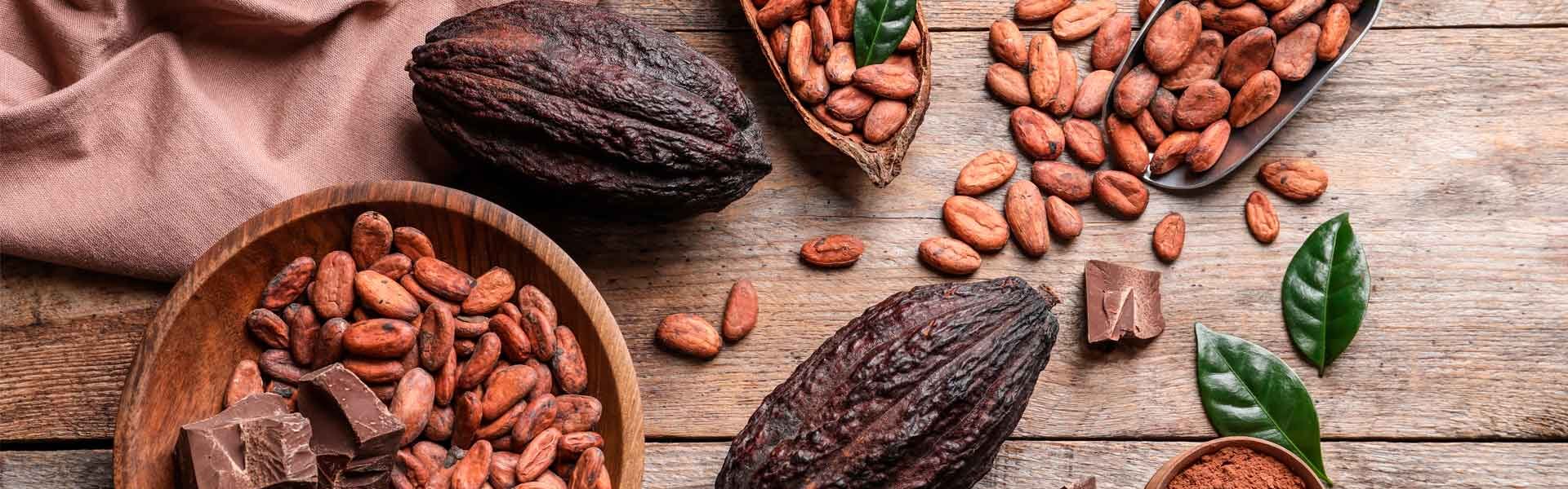 Festival del Chocolate Tabasco 2022: Endúlzate la vida con esta fiesta de cacao