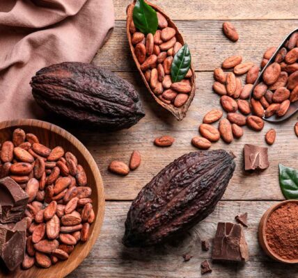 Festival del Chocolate Tabasco 2022: Endúlzate la vida con esta fiesta de cacao