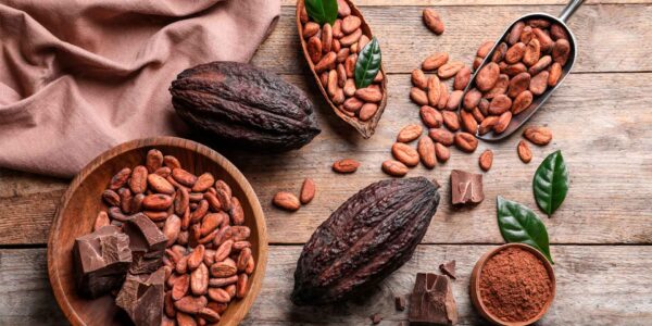 Festival del Chocolate Tabasco 2022: Endúlzate la vida con esta fiesta de cacao