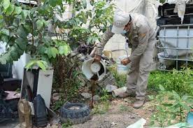 Mantienen lucha contra el dengue en Quintana Roo