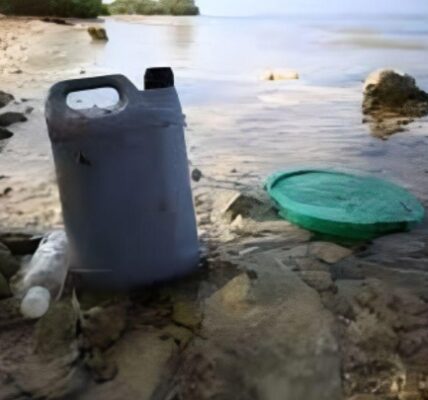 Q. Roo: Advierten aumento de contaminación por plásticos en el mar