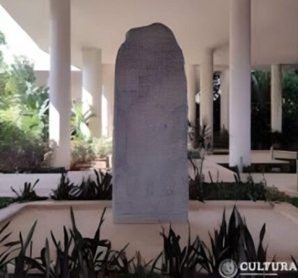 Museo Maya de Cancún, Conabio y Cultura Down convocan al concurso “Pinta la flora de Quintana Roo”