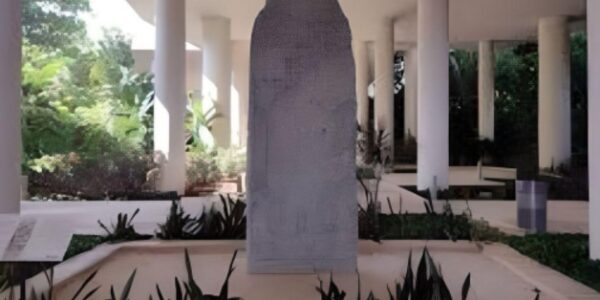 Museo Maya de Cancún, Conabio y Cultura Down convocan al concurso “Pinta la flora de Quintana Roo”