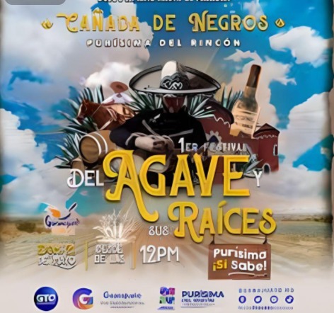 Realizan con éxito primer Festival del Agave y Sus Raíces en Cañada de Negros