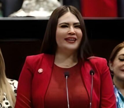 Ante la CFE, Anahí González solicita bajar tarifas en todo Quintana Roo